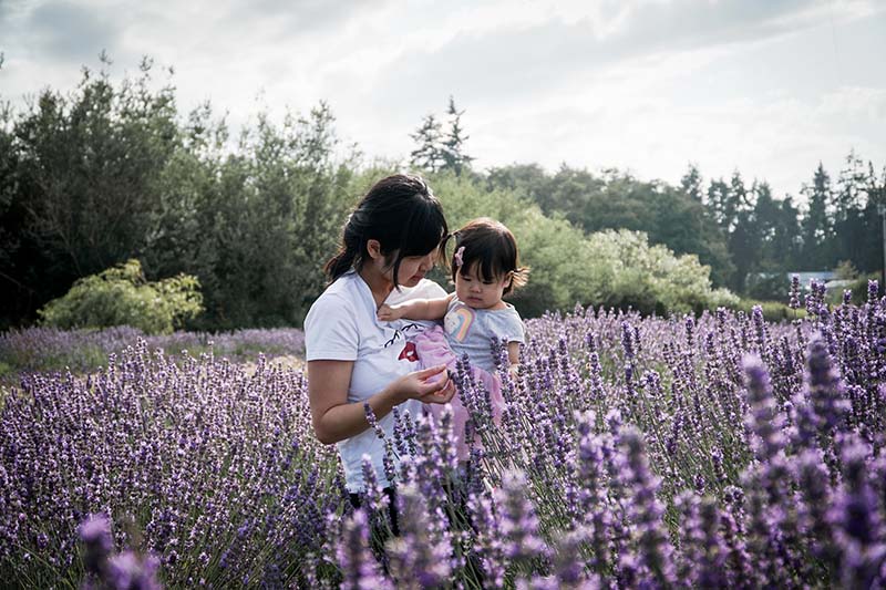 Visiting Lavender Connection Sequim with Toddler